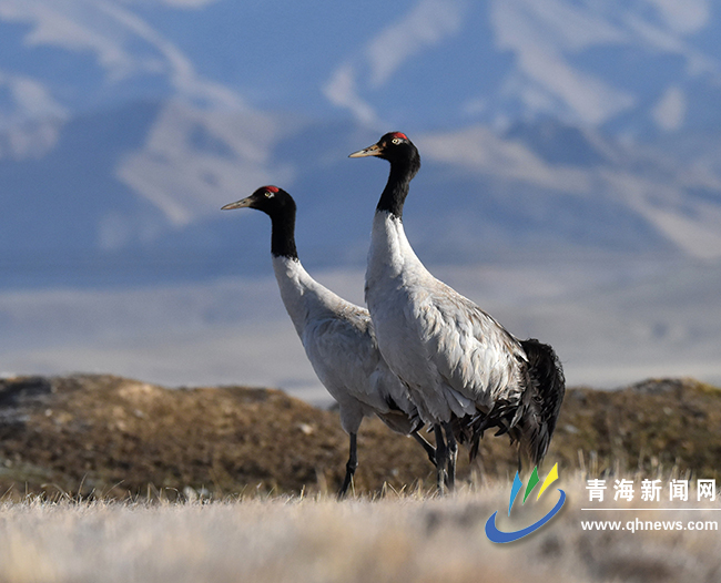 �D����i�Q