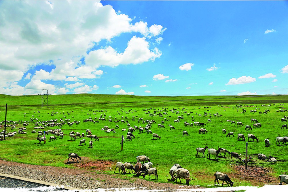 ���r(sh��)�����������I(y��)�����|(zh��)���l(f��)չ�{(di��o)���С����B(t��i)���� �Gɫ�����������조�Gˮ��ɽ���ǽ�ɽ�yɽ���Č�(sh��)�`�Ӱ�ϵ���{(di��o)��֮��