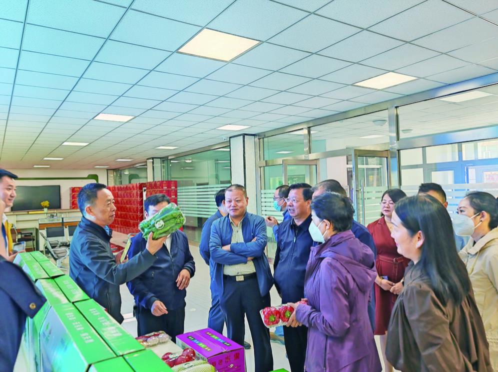 �Ը��|(zh��)���᰸�����ຣ���|(zh��)���l(f��)չ