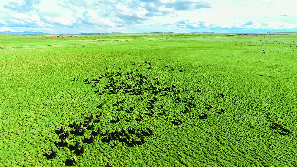 QQ�DƬ20240510070614