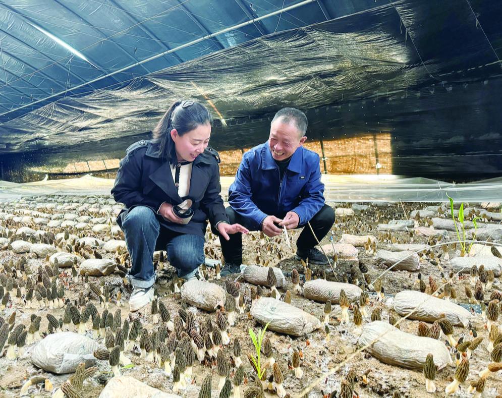 360�؈D20240511055339595