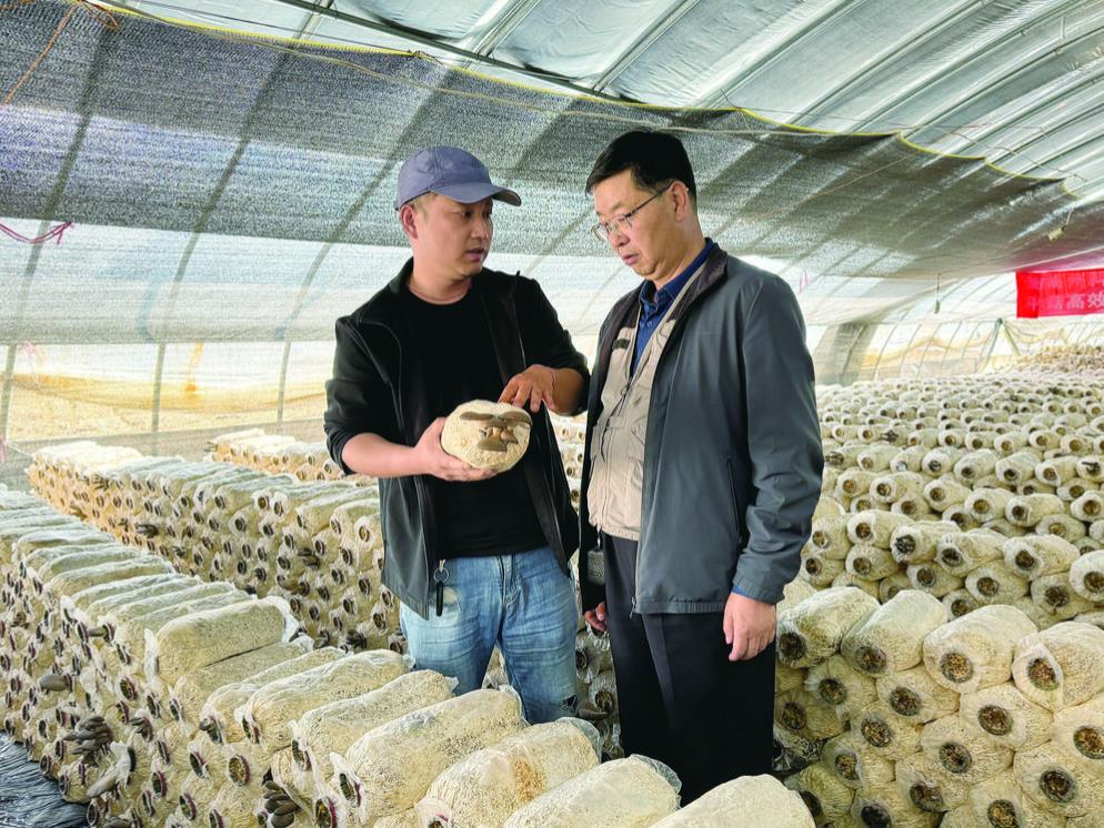 360�؈D20240511055347914