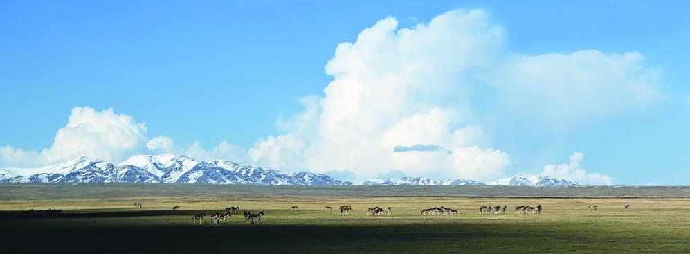 360�؈D20240511061035630