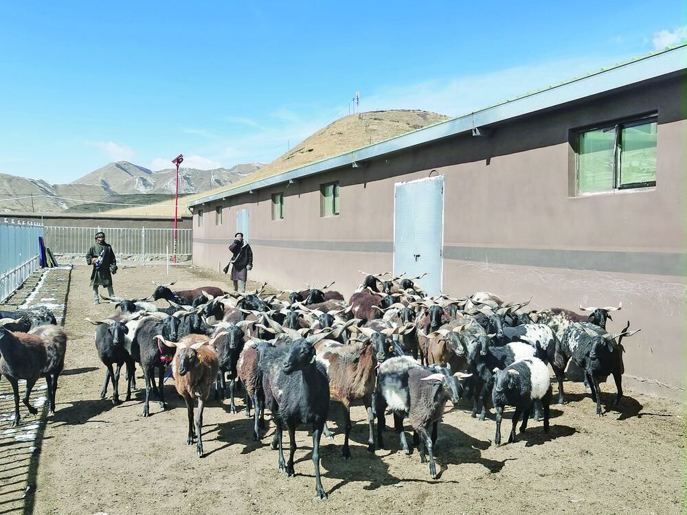 QQ�DƬ20240517055521