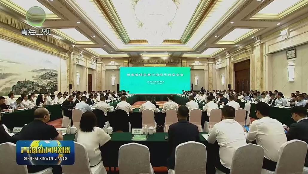 青海省綠色算力招商引資座談會在南京召開 吳曉軍出席并致辭