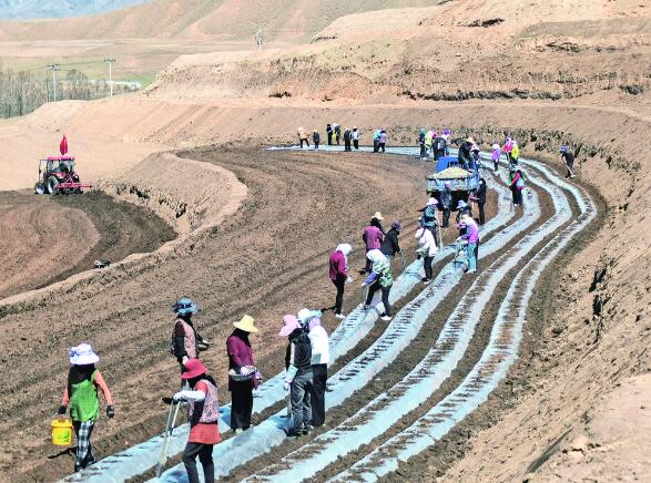 QQ截圖20240520063134