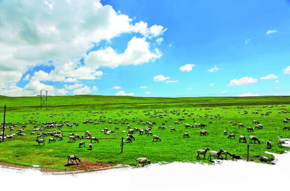 QQ�؈D20240520063722