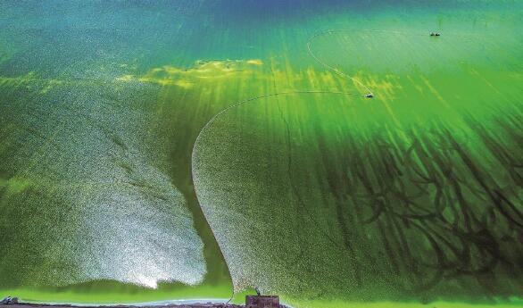 ������� ���l������ľ������Ԋ�⹲�h��