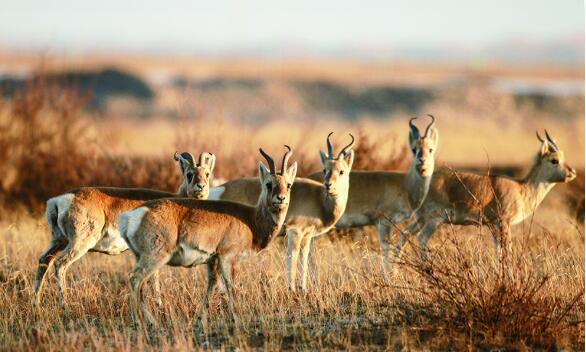 QQ�؈D20240520070937