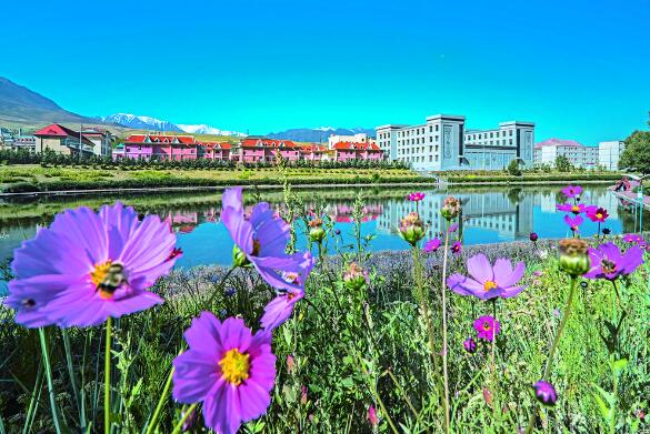 QQ�؈D20240520070946