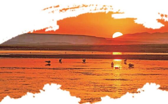 QQ截圖20240520071520