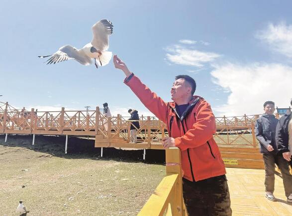 QQ截圖20240520071528