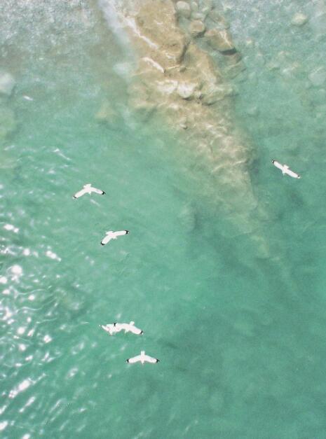 QQ截圖20240520071548