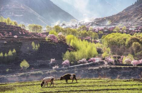 QQ截圖20240520072034