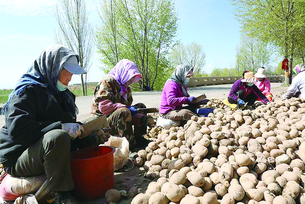 ΢�ňDƬ_20240523070016