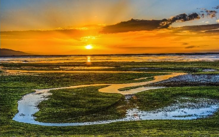 ���r�� ������ ���I(y��)�������������B(t��i)�����ߵ� �Զ������������Aˮ�������o(h��)��