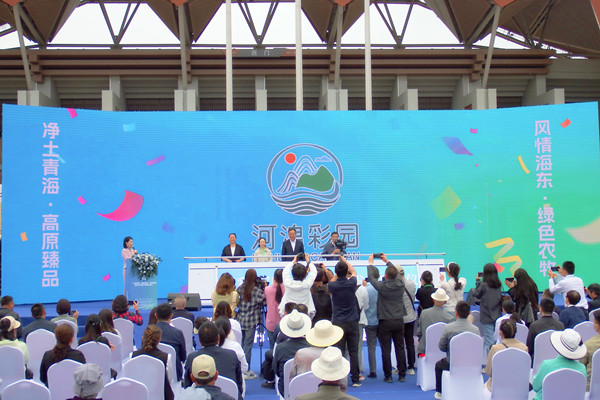 DSCF4019_����