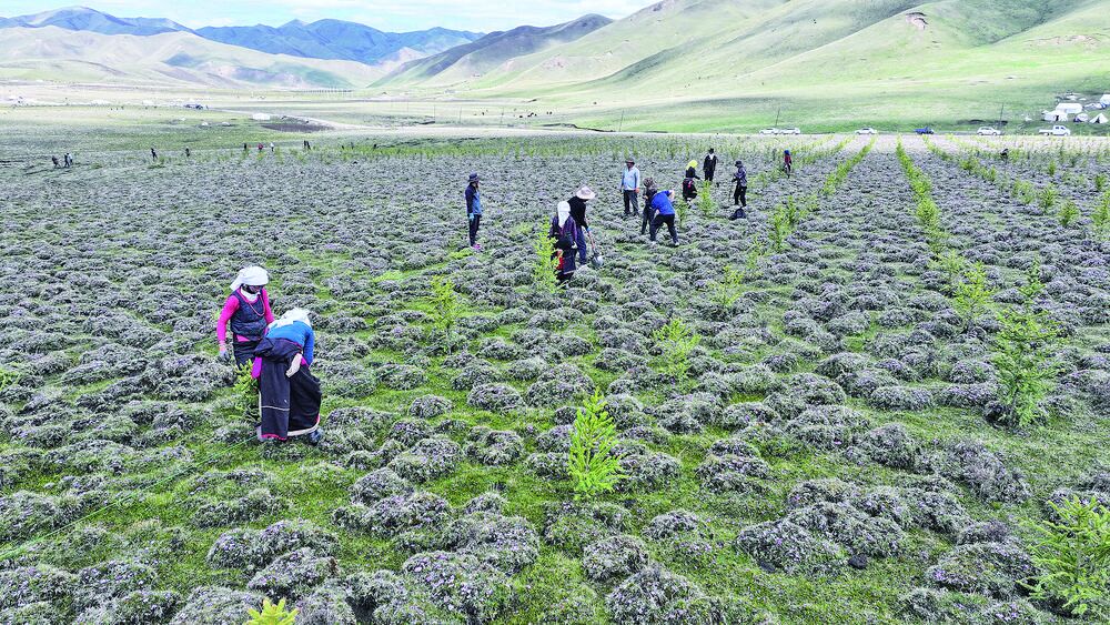 QQ�DƬ20240531055928