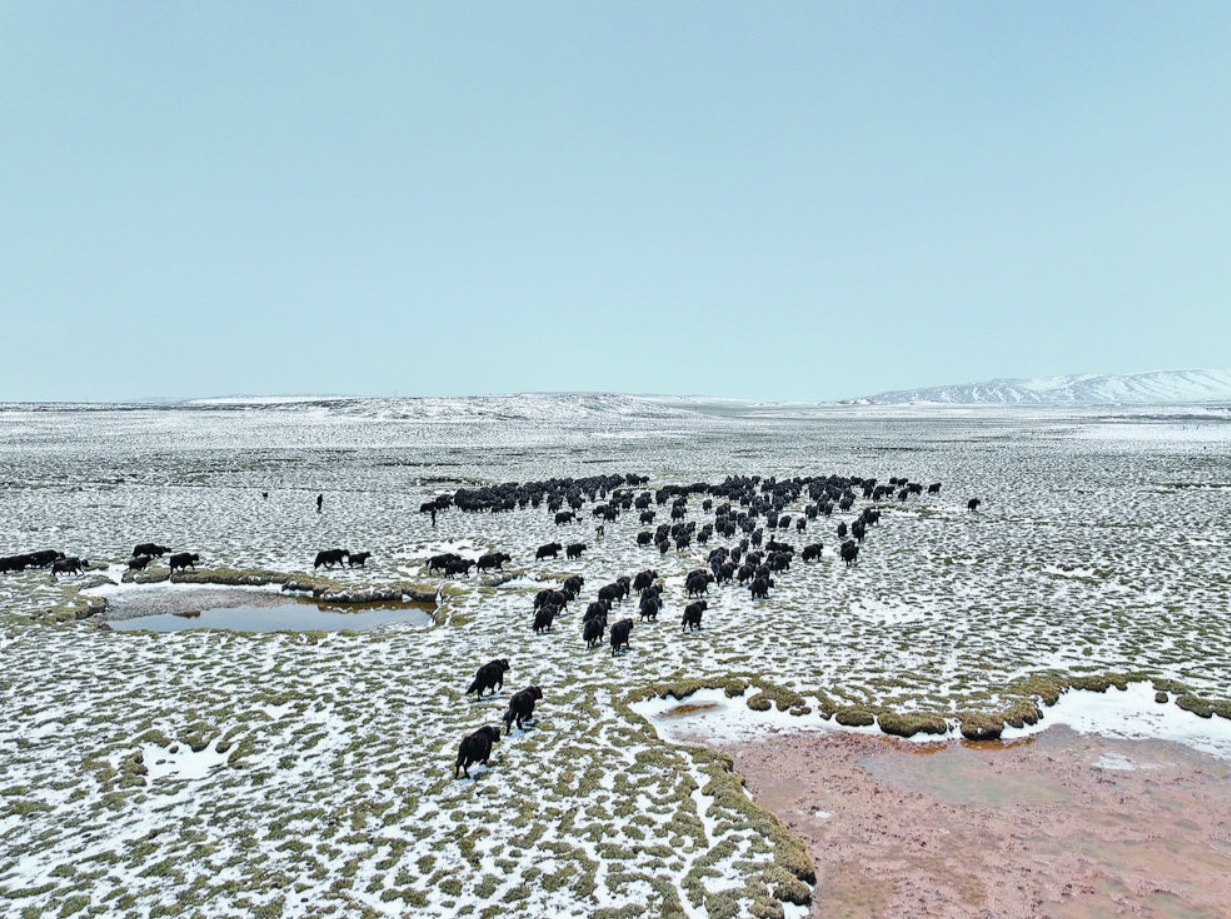 ΢�Ž؈D_20240603064902