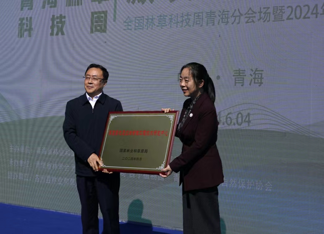 ΢�ňDƬ_20240604162803