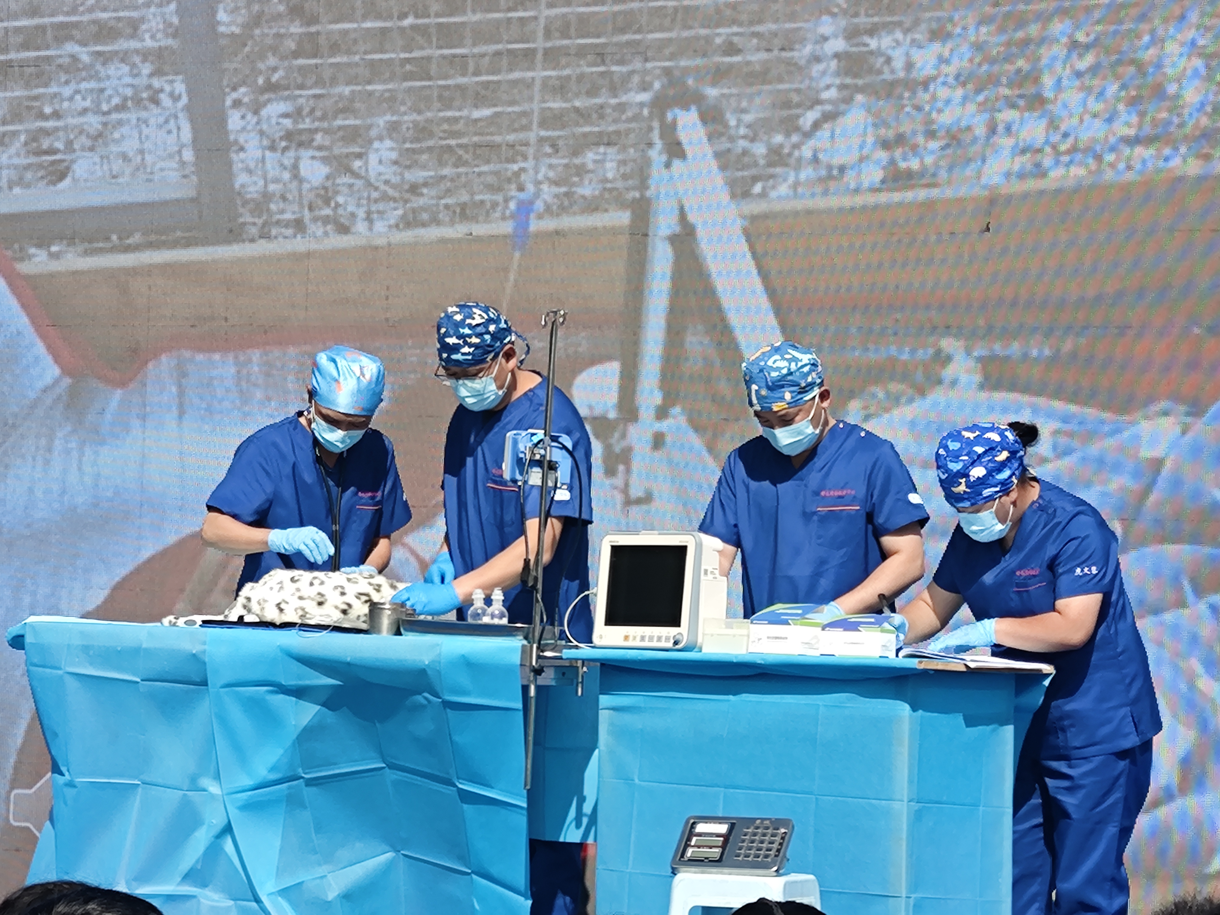 ΢�ňDƬ_20240604163427