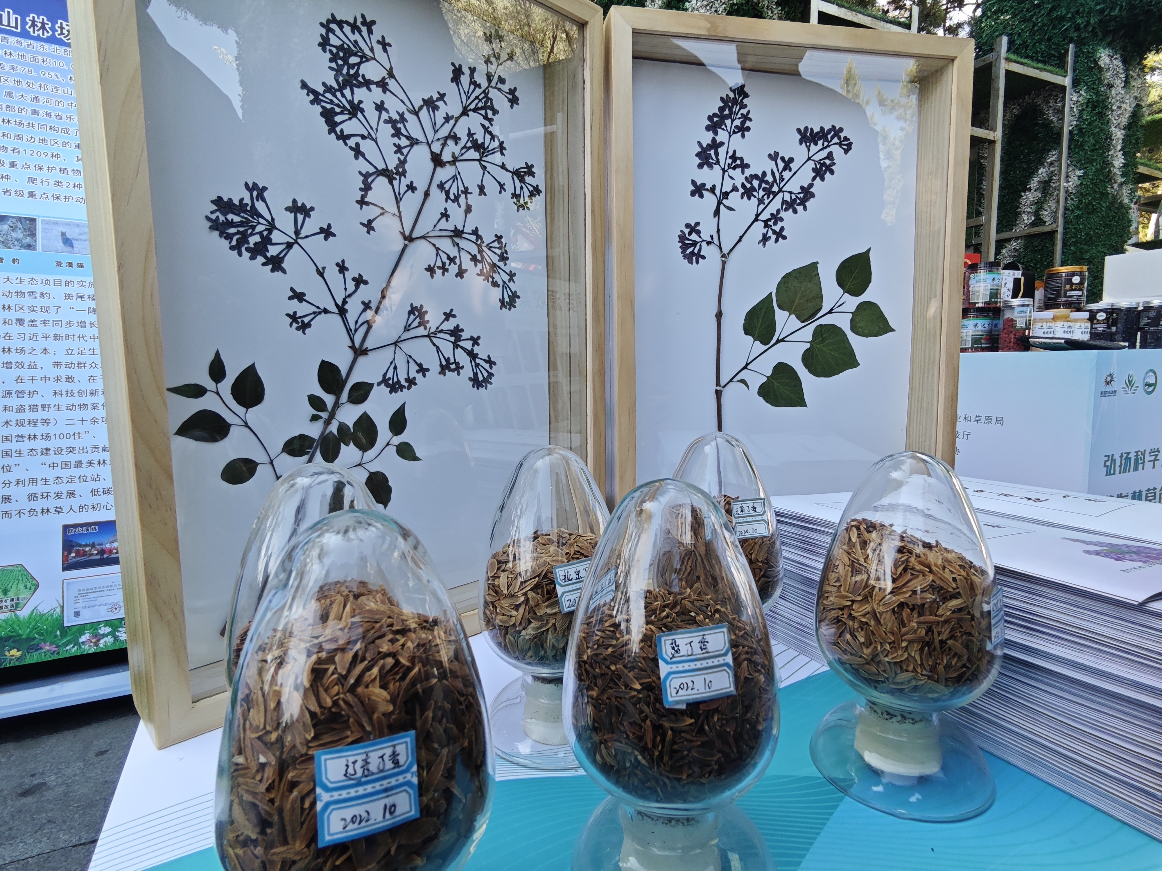 ΢�ňDƬ_20240604163454