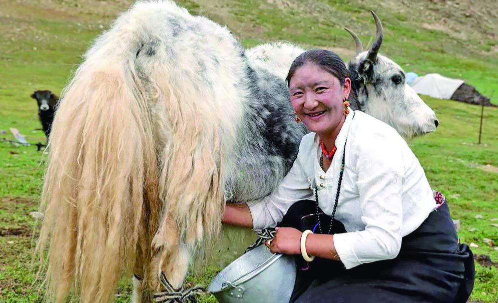 ������� ���l�������á��������� �L���D��