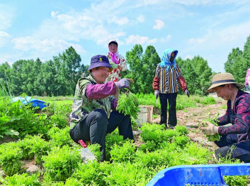 ���l�����d���ຣ�����Ҵ�N�𡰸߶˲ˡ�