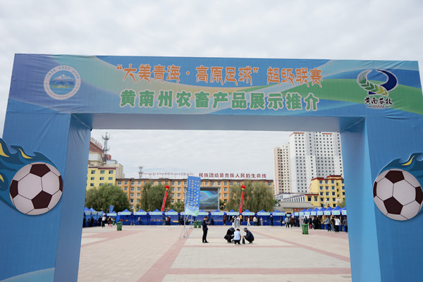 DSC02804_����