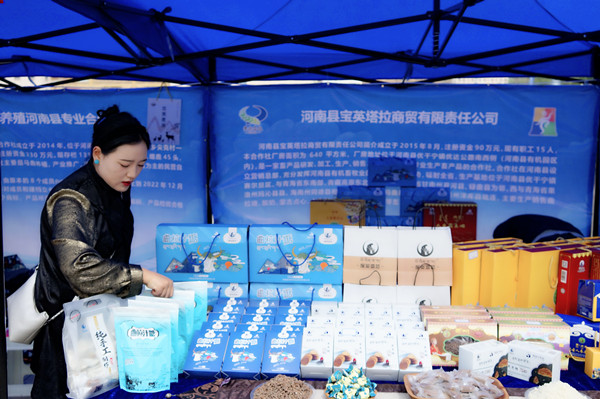 DSC02788_����