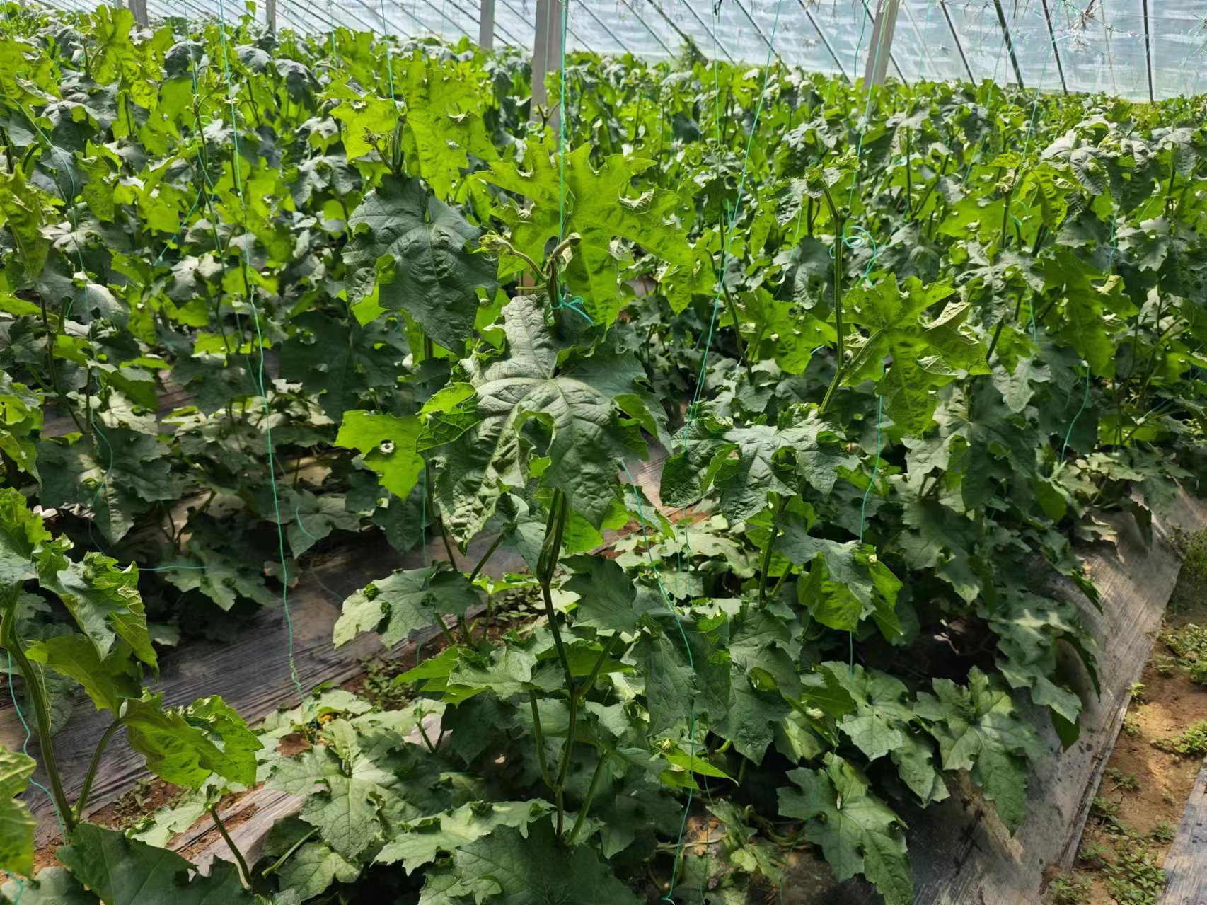 ΢�ňDƬ_20240612102826