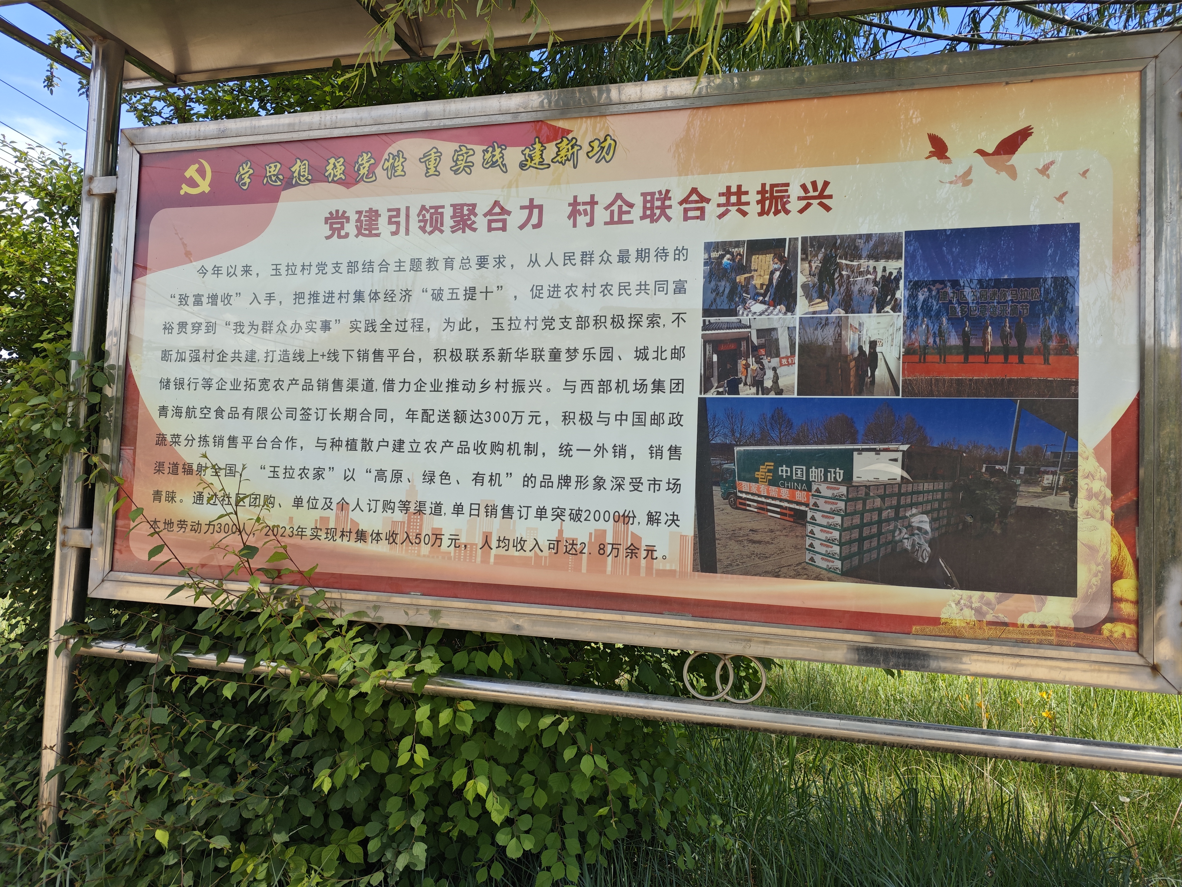 ΢�ňDƬ_20240612105421