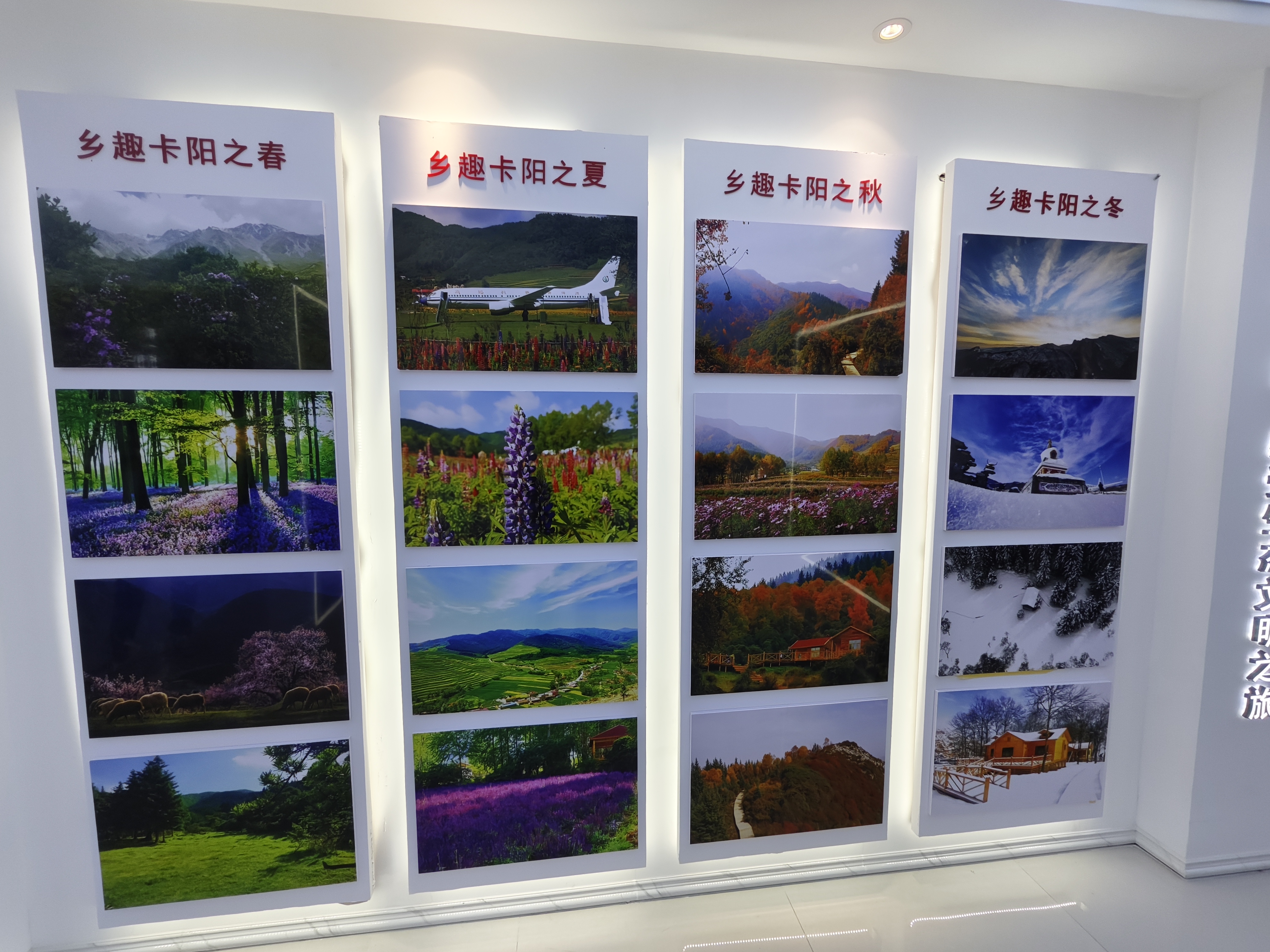 ΢�ňDƬ_20240612225724