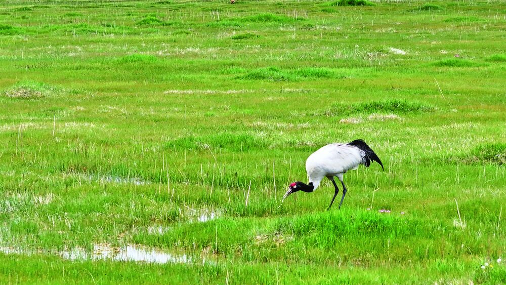 QQ�DƬ20240613055518