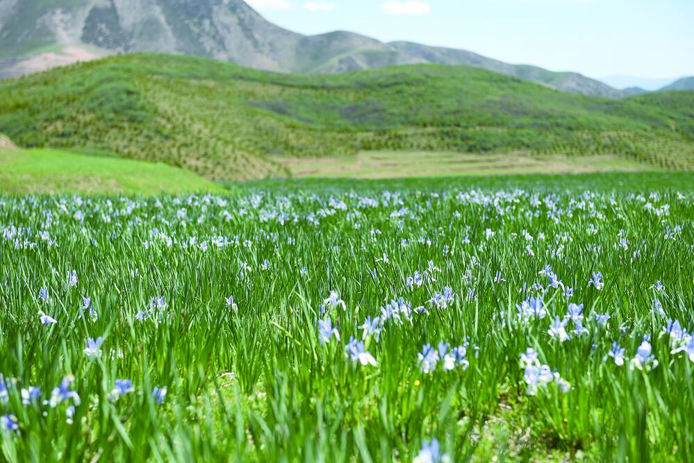 【新時代 新征程 新偉業·高質量發展調研行】“浪”綠水青山 “賺”金山銀山——打造“綠水青山就是金山銀山”的實踐樣板系列調研之八
