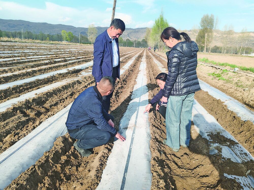 【鄉村振興在青海】“科技活水”澆灌希望的田野