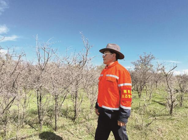 ����ӛ���� ���ɺV�С�����һ�����o�T�����������