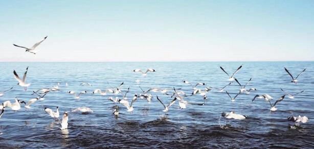 QQ�؈D20240617064642