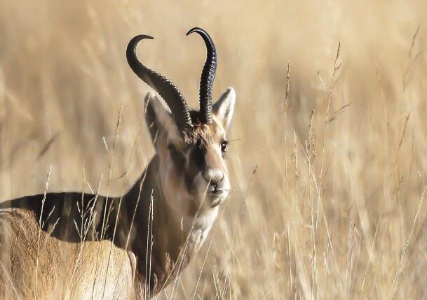 QQ�؈D20240617065121