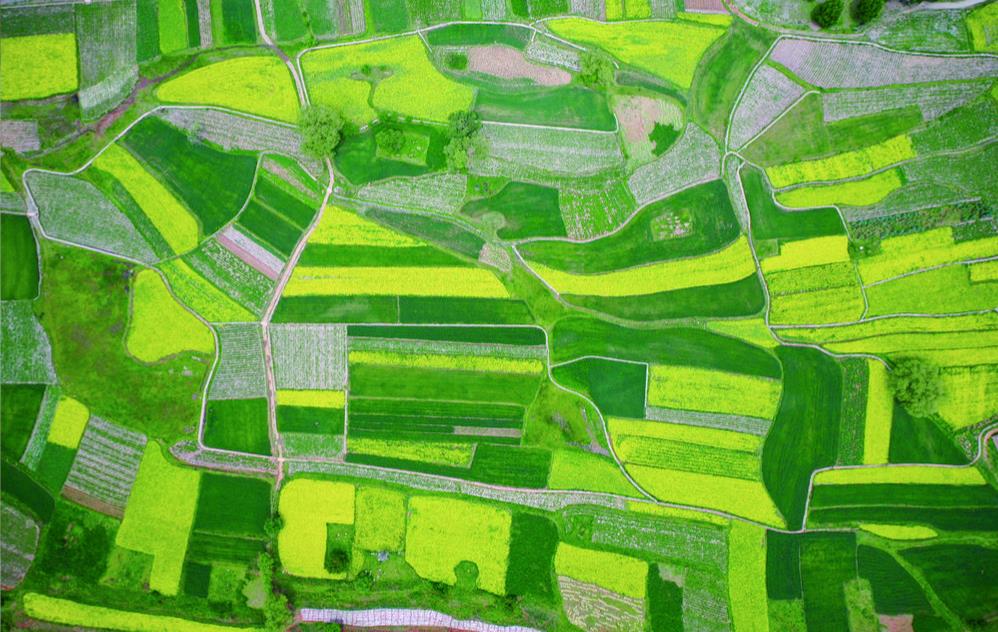 �ﮠ��Ұ���箋