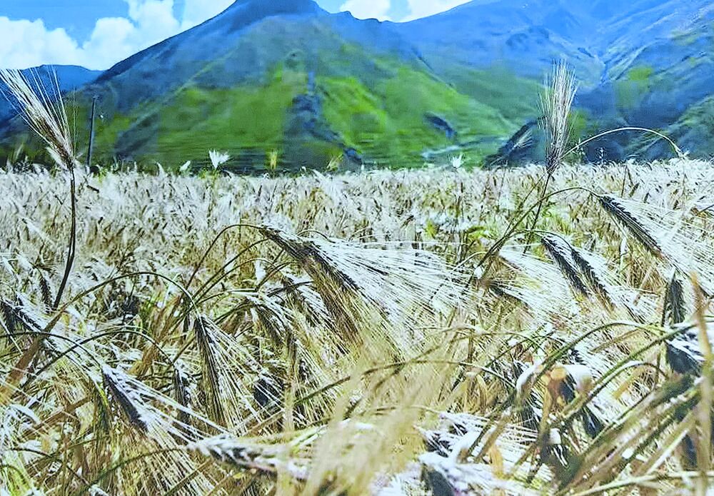 QQ�DƬ20240619060524