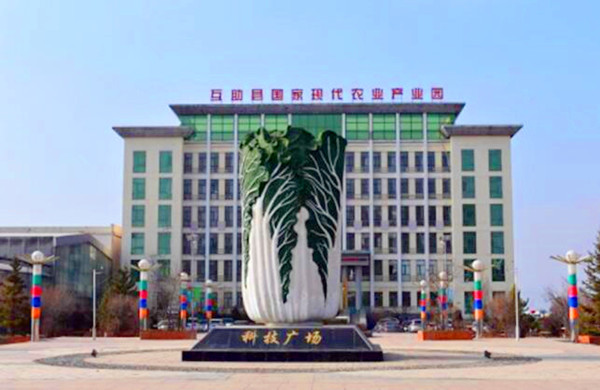 QQ�؈D20240620161202_����