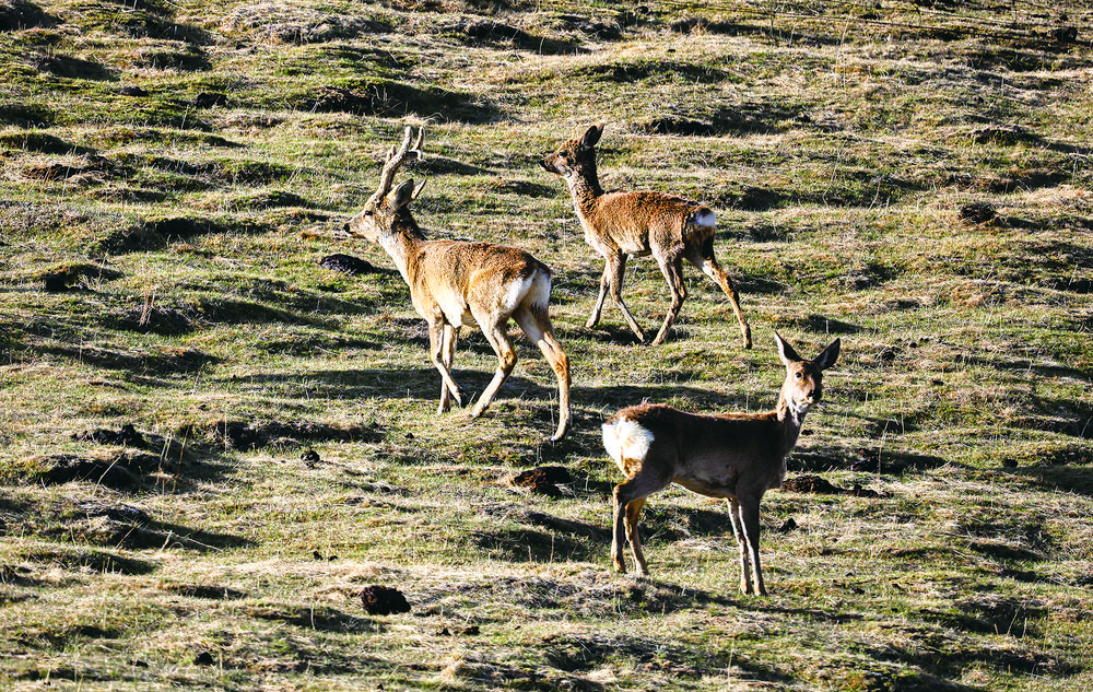 微信圖片_20240624063615