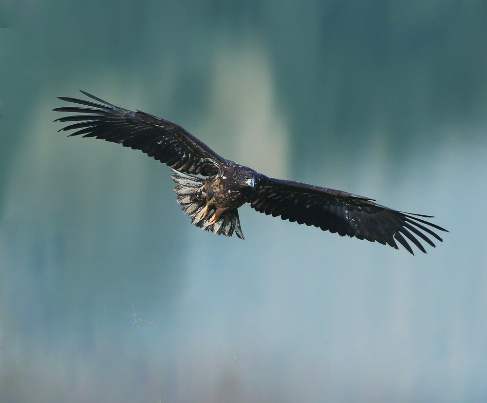 ΢�ňDƬ_20240624063618