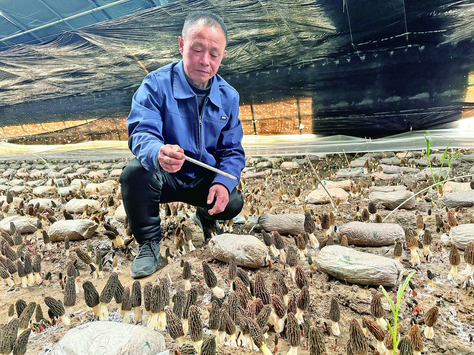 QQ�DƬ20240627060751