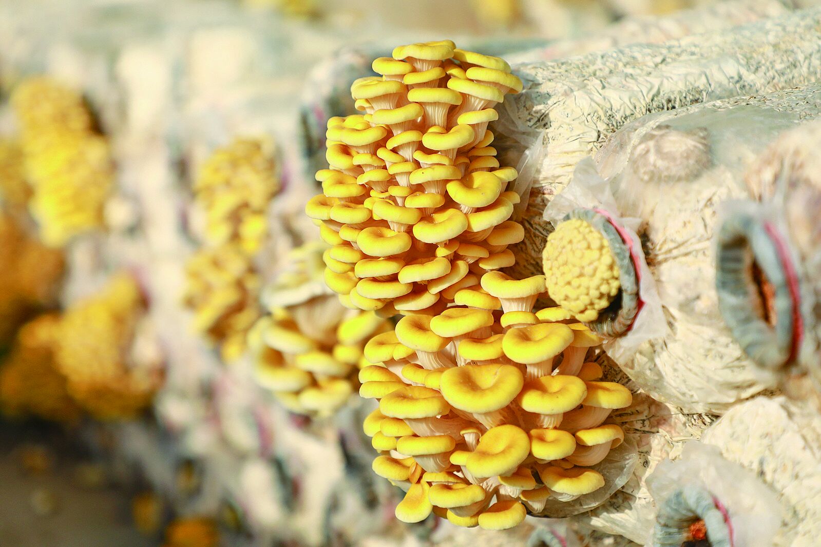 QQ�DƬ20240627060807