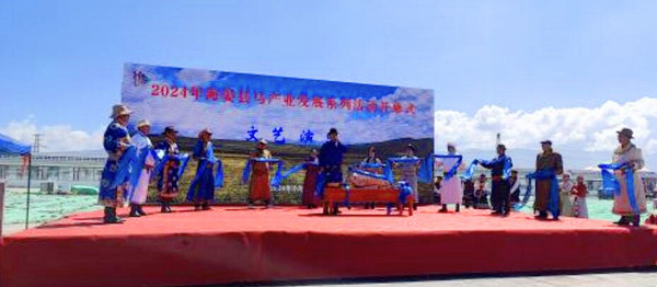 QQ�؈D20240702215304_����