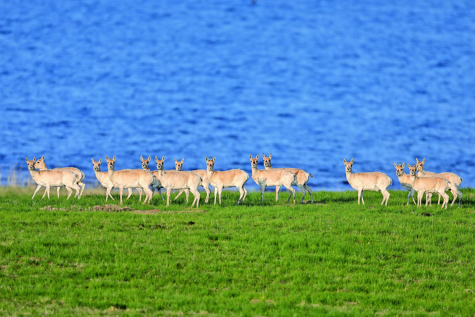 QQ�DƬ20240711061459