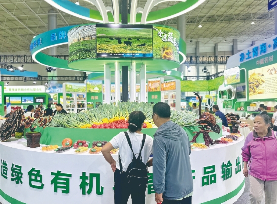 ���_�ź��� �Gɫ�l(f��)չ����2024��Ǣ��(hu��)�ؿ���չ��(hu��)�۽������N ��ԭ��Ʒ�ڴ�ֵ���M