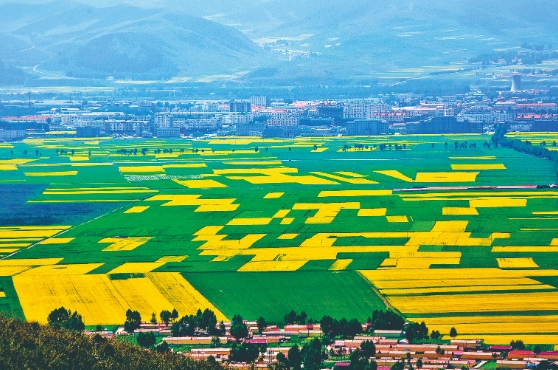 微信截圖_20240714074019